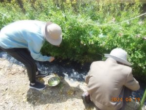 入居者が屋外で園芸・庭園活動を行っている様子